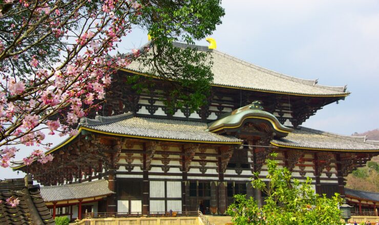 奈良観光の新定番！今行くべき奈良県の厳選サウナ施設5選