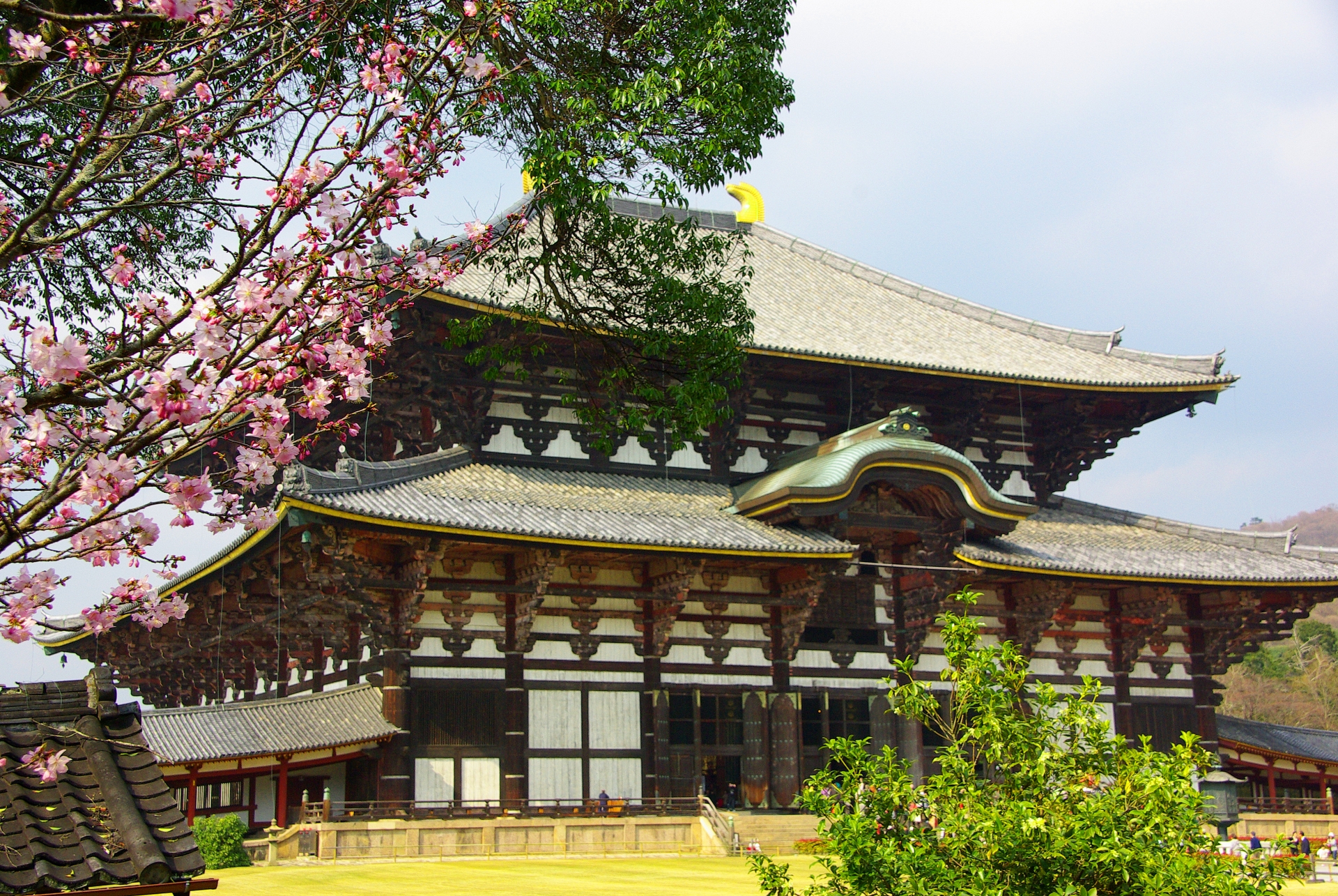 奈良観光の新定番！今行くべき奈良県の厳選サウナ施設5選